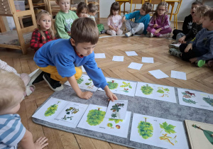 chłopiec dopasowuje liście do drzewa