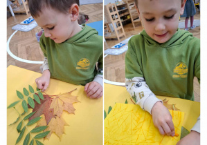 kolaż zdjęć. na jednym chłopiec ułożył kompzycję z liści, na drugim kalkuje je