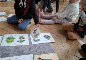 chłopiec dopasowuje liście do drzewa