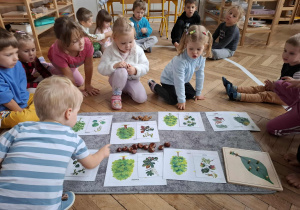 dzieci oglądają zdjęcia drzew i liści