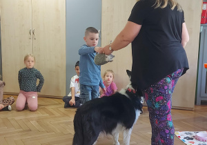 chłopiec, który bierze pluszowego jeża od terapeuty w celu jego schowania