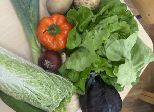 Poznajemy warzywa zmysłami