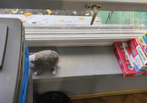 Na zdjęciu widzimy schowanego "Jeżyka". Zadaniem Lily było go odnaleźć.