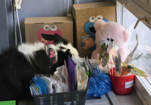 Na zdjęciu widzimy Lily, która odnalazła schowanego "Jeżyka".