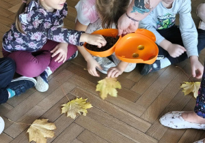 Na zdjęciu widzimy dzieci, które biorą jeden smakołyk i chowają go pod liścia.