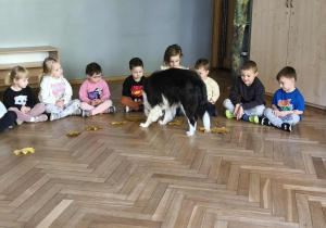 Na zdjęciu widzimy Lily, która nosem wącha smakołyk spod liścia i go zjada.