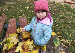 Na zdjęciu widzimy dziewczynkę, która kładzie na ławkę pozbierane kolorowe liście.