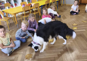 Pies szuka smakołyki ukryte w liściach