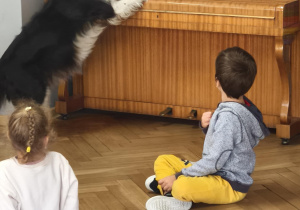 Pies szuka ukrytej zabawki