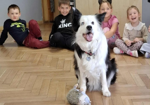 Pies siedzi dumny ze znalezienia zabawki