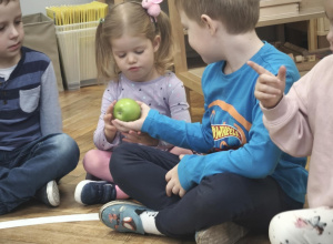 Poznajemy gatunki jabłek