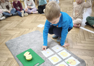 Praca z pomocą - jak zbudowane jest jabłko