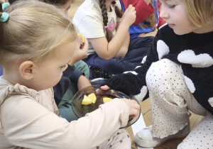 Częstowanie się kolejnymi gatunkami jabłek