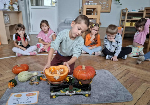 chłopiec waży dynię