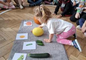 dziewczynka wskazuje zdjęcie melona