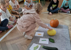 dziewczynka wskazuje zdjęcie melona