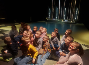 Jaśniej - nie taki las straszny