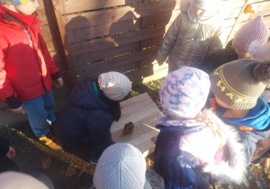 Teraz już tylko trzeba czekać, czy zamieszka w domku jeż