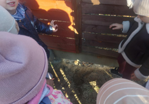 dzieci wskazują miejsce w którym widać ślady jakiegoś zwierzątka