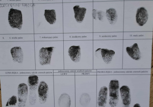 odciski linii papilarnych