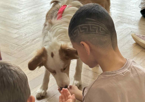 Zdjęcie przedstawia chłopca dającego przysmak psu.