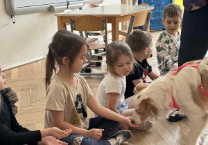 Zdjęcie przedstawia dziewczynkę dającą przysmak psu.