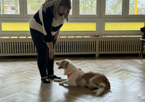 Zdjęcie przedstawia psa wykonującego sztuczkę, na polecenie pani.