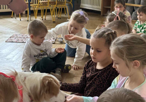 Zdjęcie przedstawia dziewczynkę dającą przysmak psu.