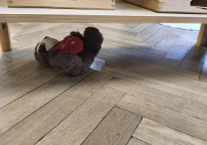 Na zdjęciu widzimy schowanego pod szafką misia.