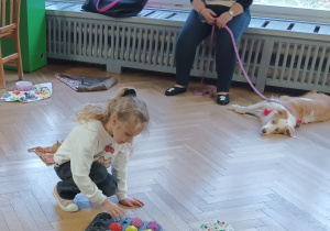 Dziewczynka ukrywa karmę dla psa pod piłeczkami.