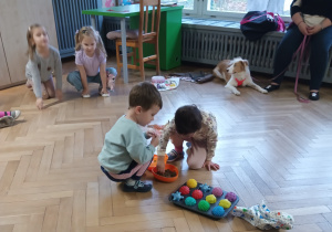 Dzieci ukrywają karmę dla psa pod piłeczkami.