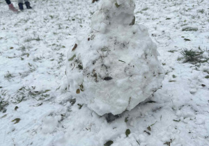 Zdjęcie przedstawia bałwana.