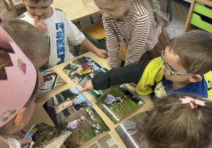 Zdjęcie przedstawia dzieci oglądające zdjęcia.
