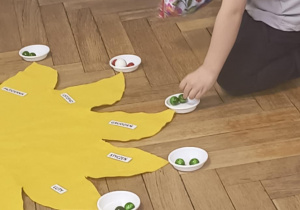 Chłopiec układa koraliki na lini życia.