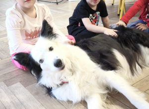 Zajęcia edukacyjne z udziałem psa - 4