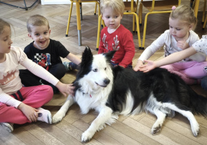Dzieci delikatnie głaszczą psa, przestrzegając zasady zajęć