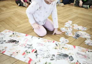 Gdzie schowały się pieski - szukanie na macie