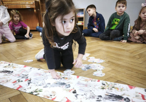 Gdzie schowały się pieski - szukanie na macie