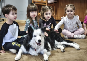 Dzieci delikatnie głaszczą psa, przestrzegając zasady zajęć