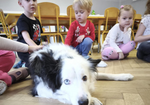 Dzieci delikatnie głaszczą psa, przestrzegając zasady zajęć