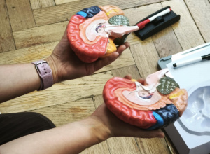 Zajęcia z mamą Matyldy - 4