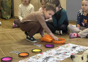 Zdjęcie przedstawia chłopca wyjmującego chrupka dla psa z pojemnika.