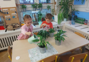 czyszczenie kwiatów - robimy porządki