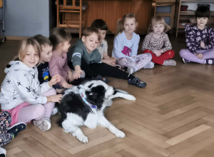 Dogoterapia - kolejne spotkanie z psem