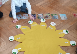 Chłopiec układa koraliki w odpowiednie pojemniczki.