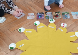 Chłopiec układa koraliki w odpowiednie pojemniczki.