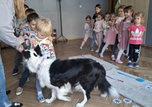 Lili przechodzi pod nogami dzieci