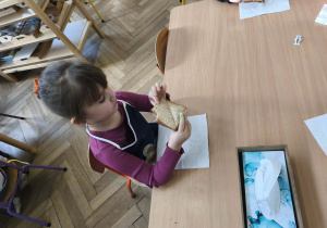 Na zdjęciu widzimy dziewczynkę, która zjada tosta.