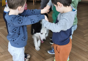 Na zdjęciu widzimy chłopców tworzących tunel. Przed tunelem stoi Lily i czeka na komędę od Pani.