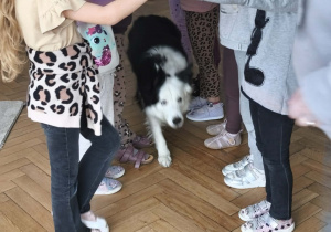 Na zdjęciu widzimy dziewczynki, które tworzą tunel. W tunelu przechodzi Lily.